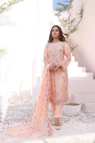 Hayat - Premium Semi Stitched Chiffon Collection – (DS – 05)