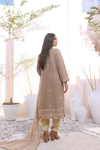 Hayat - Premium Semi Stitched Chiffon Collection – (DS – 02)