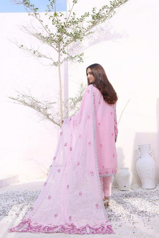 Hayat - Premium Semi Stitched Chiffon Collection – (DS – 01)