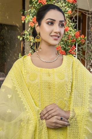 Artistic - Premium Chiffon Chikankari Collection - (DS - 04)