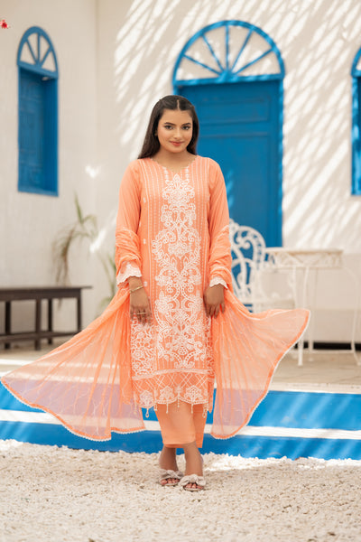 03-Piece Anabiya Semi Stitched Chiffon Suit Peach