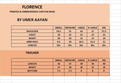 Florence Printed And Chiffon Embroidered Maxi