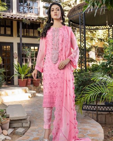 Artistic - Premium Chiffon Chikankari Collection - (DS - 01)